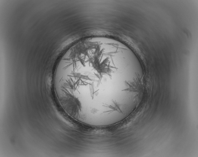 X0000111170063200907221036