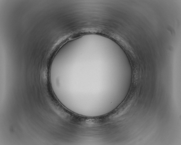 X0000111170064200907221036