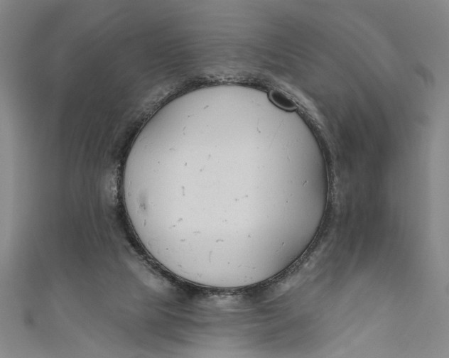 X0000111170065200907221036