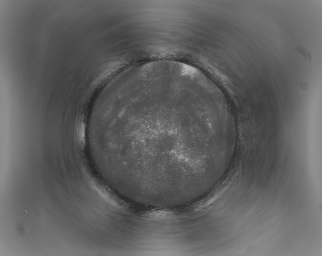 X0000111170067200907221036