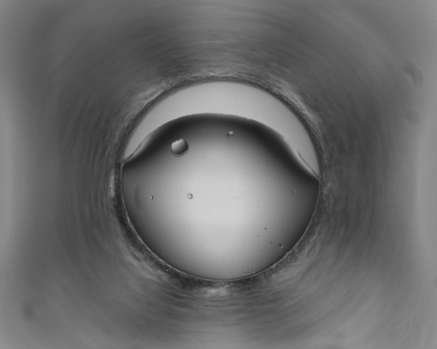 X0000111170068200907221036