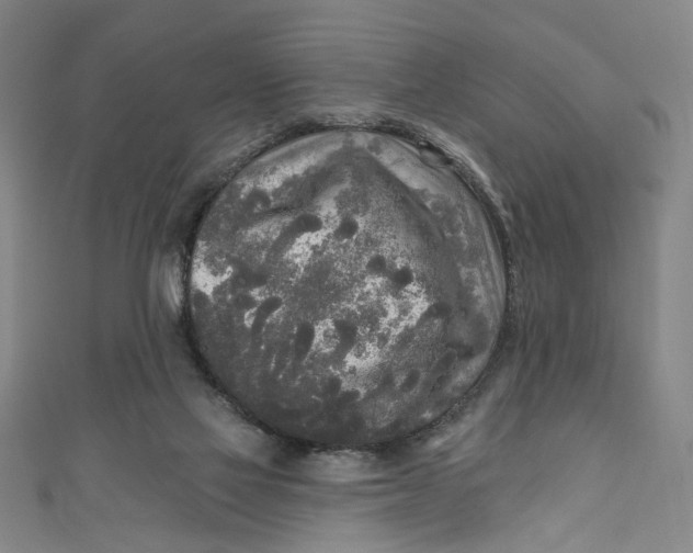 X0000111170069200907221036