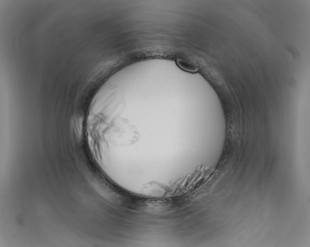 X0000111170070200907221036