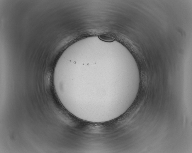 X0000111170071200907221036