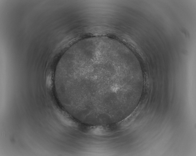 X0000111170074200907221036