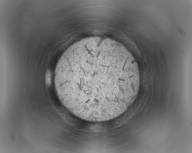 X0000111170075200907221036