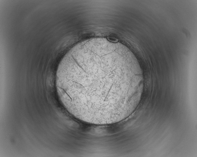 X0000111170078200907221036