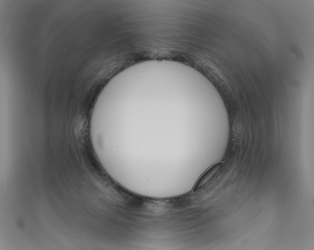 X0000111170079200907221036