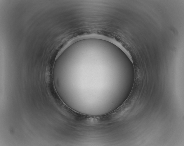 X0000111170080200907221037