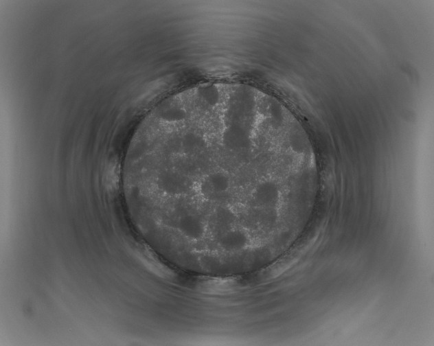 X0000111170081200907221037