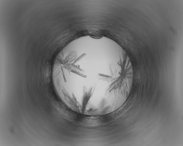 X0000111170082200907221037