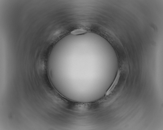 X0000111170084200907221037