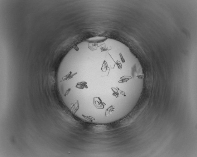 X0000111170085200907221037