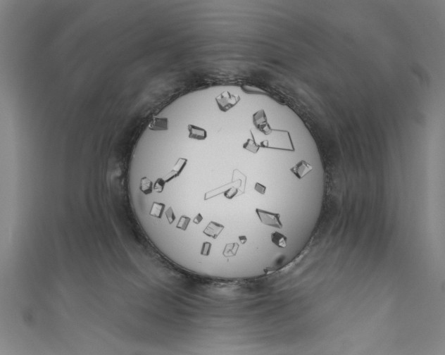 X0000111170086200907221037