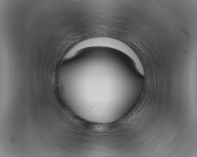 X0000111170088200907221037