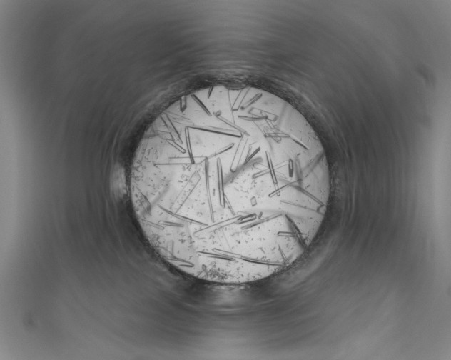 X0000111170089200907221037