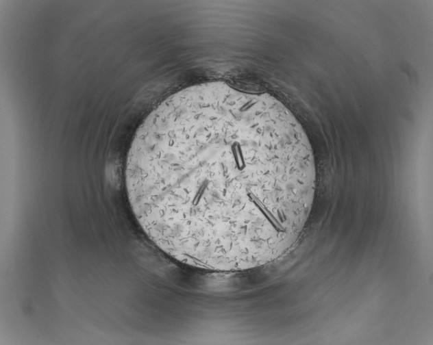 X0000111170090200907221037