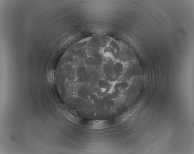 X0000111170093200907221037