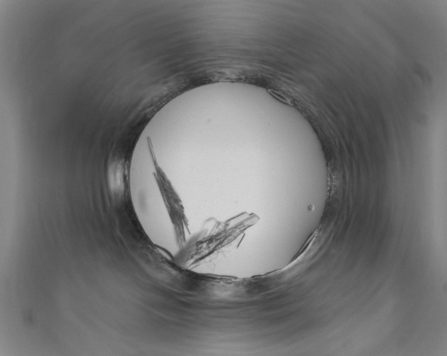 X0000111170094200907221037