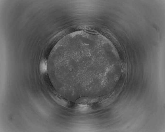 X0000111170095200907221037