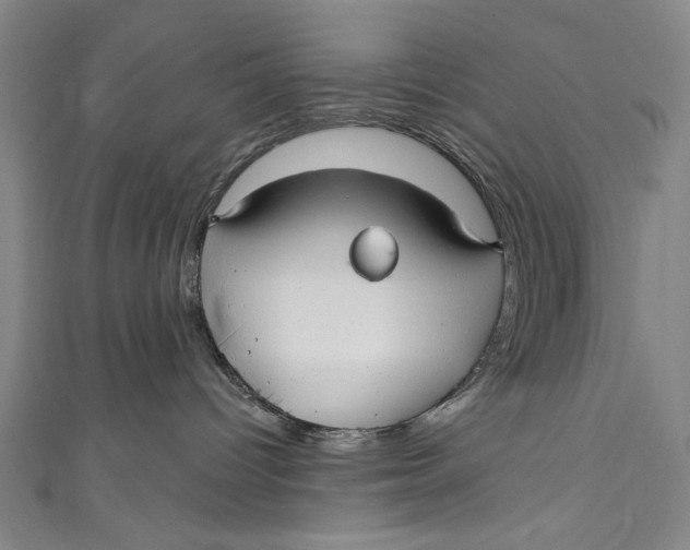 X0000111170096200907221037