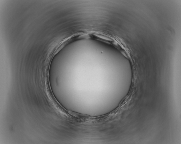 X0000111170097200907221036