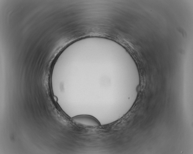 X0000111170098200907221036