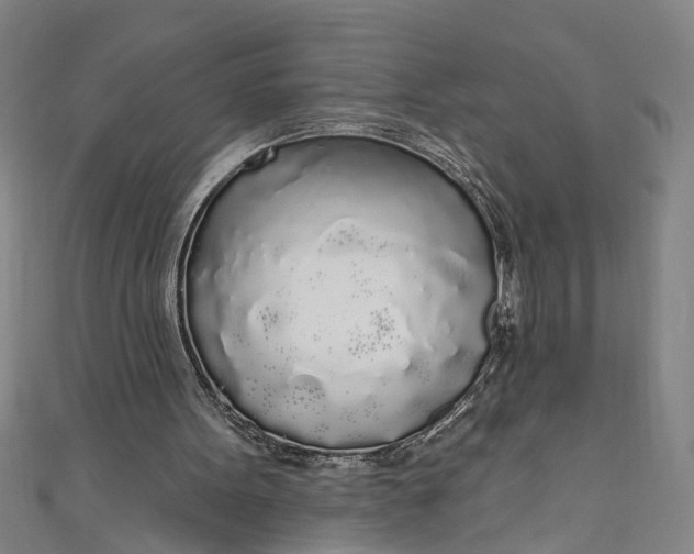 X0000111170099200907221036