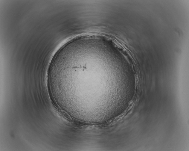 X0000111170100200907221036