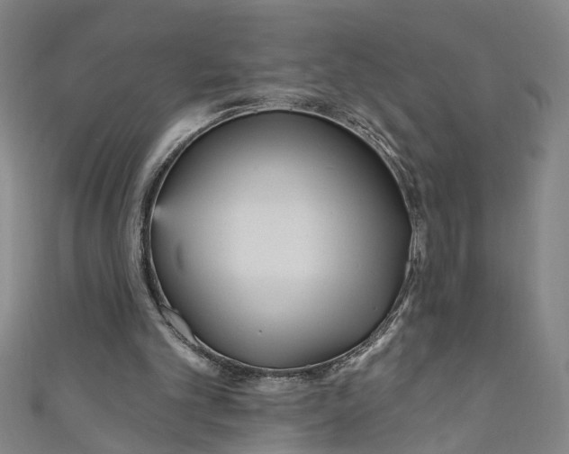 X0000111170101200907221036