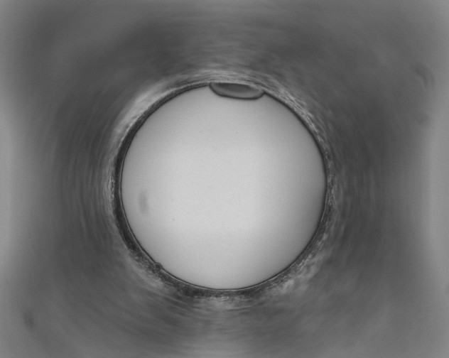 X0000111170103200907221036