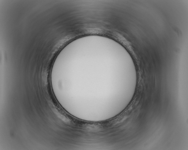 X0000111170106200907221036