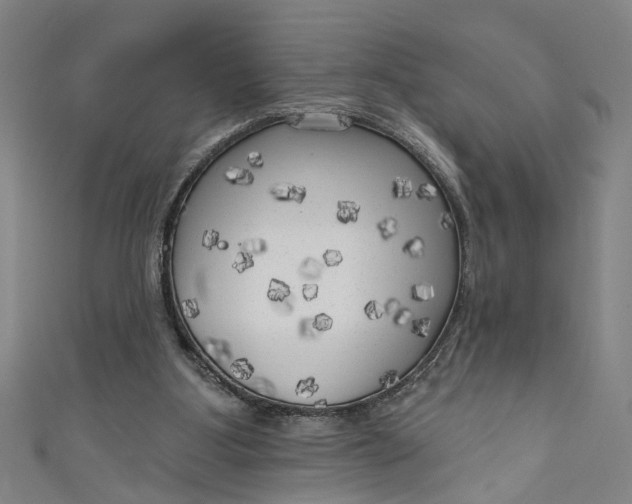 X0000111170107200907221036