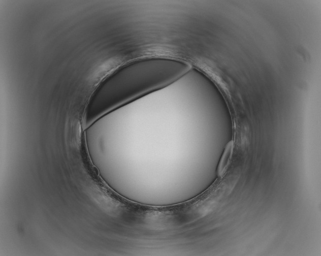 X0000111170109200907221036