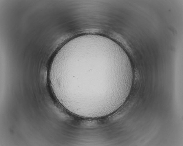 X0000111170110200907221036