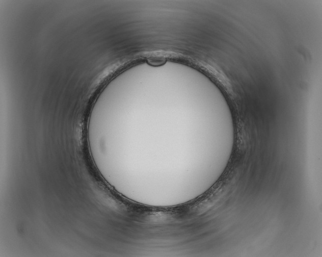 X0000111170111200907221036