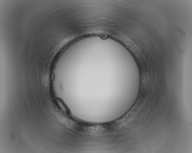 X0000111170112200907221036