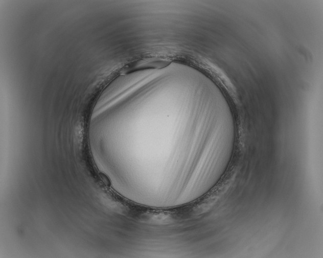 X0000111170113200907221036