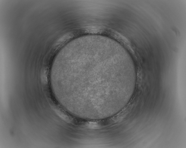 X0000111170114200907221036