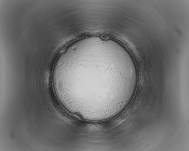 X0000111170115200907221036