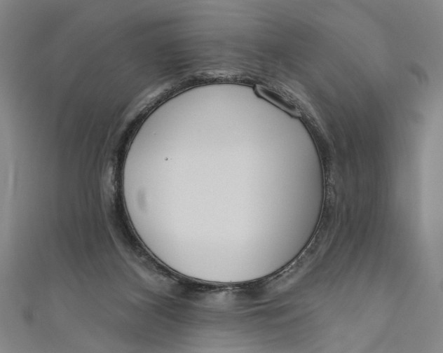 X0000111170116200907221036