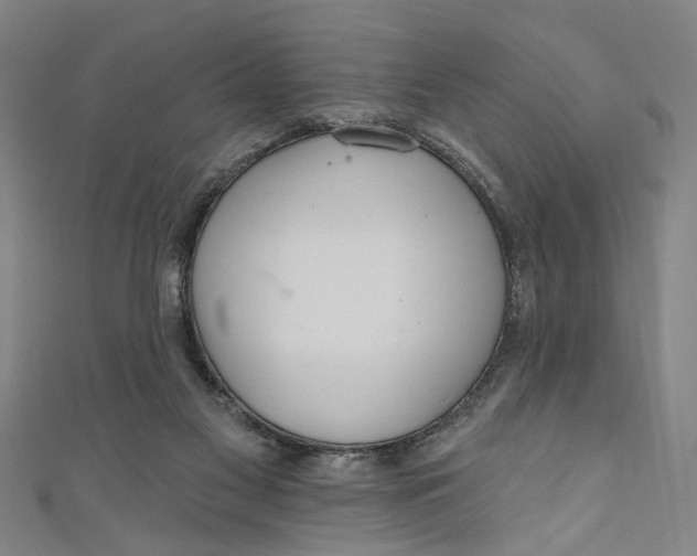 X0000111170117200907221036