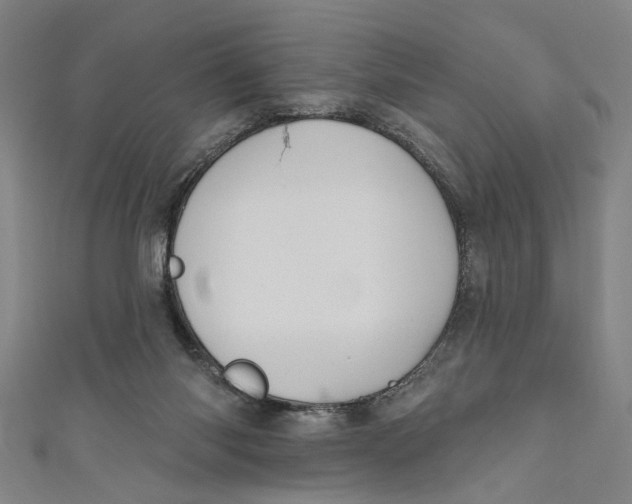 X0000111170118200907221036