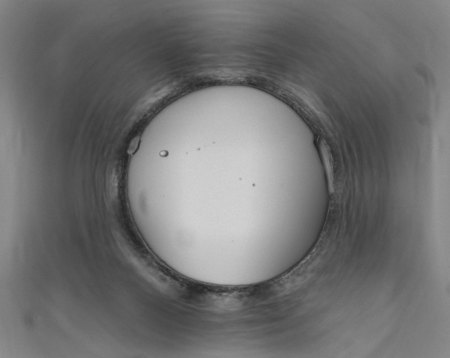 X0000111170120200907221036