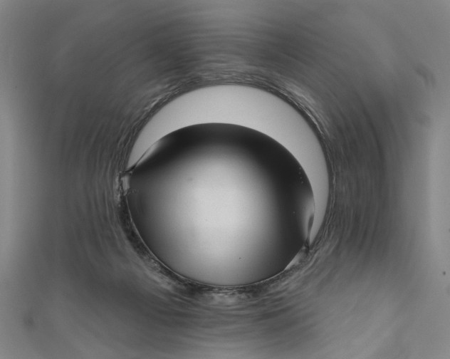 X0000111170121200907221036