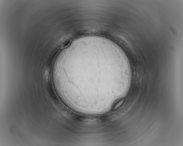 X0000111170123200907221036