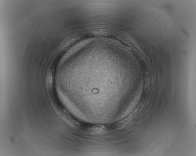 X0000111170124200907221036