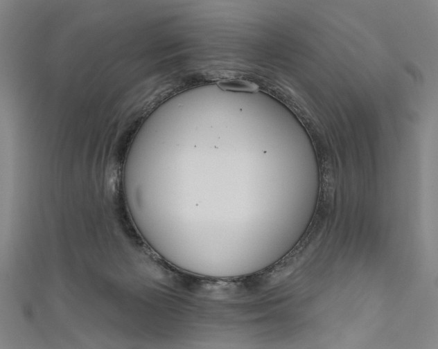 X0000111170125200907221036