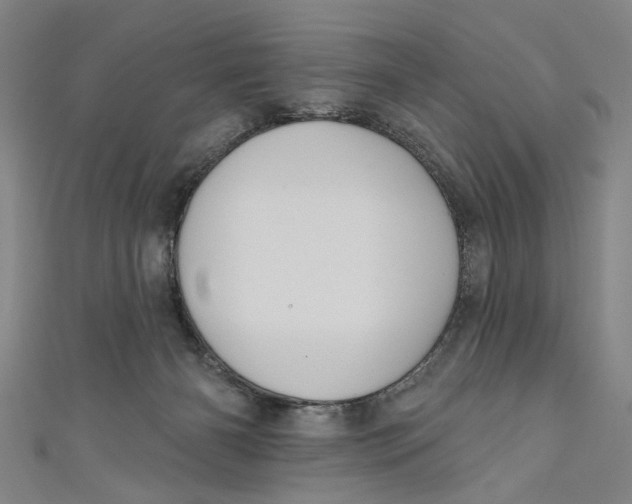 X0000111170126200907221036