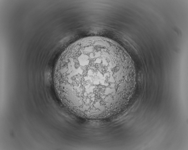 X0000111170127200907221036